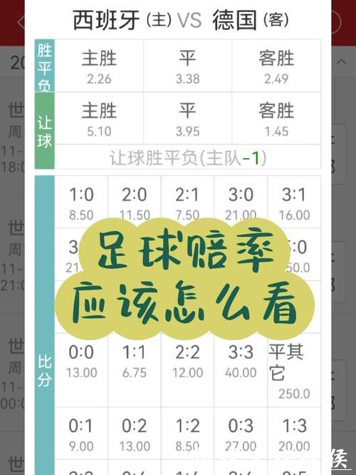 揭秘世界杯盘口赔率走势与投注技巧 揭秘世界杯盘口赔率走势与投注技巧